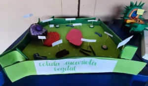 Estudando Citologia